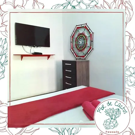Pousada Flor De Cactos Vegana-2
